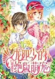 明诺笙作品龙四少的绝版萌宠