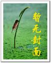 绝代佣兵妃：狂倾九界