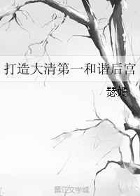 打造大清第一和谐后宫托生