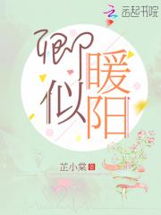 都市小说最新小说卿似暖阳
