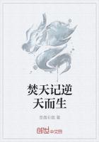 焚天风云路小说焚天风云路