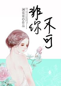 爱情小说非你不可