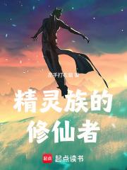 精灵族的修仙者